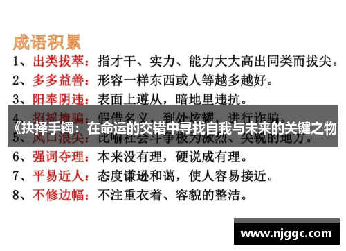 《抉择手镯：在命运的交错中寻找自我与未来的关键之物》