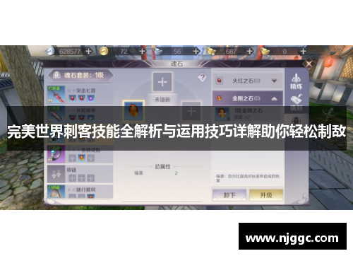 完美世界刺客技能全解析与运用技巧详解助你轻松制敌